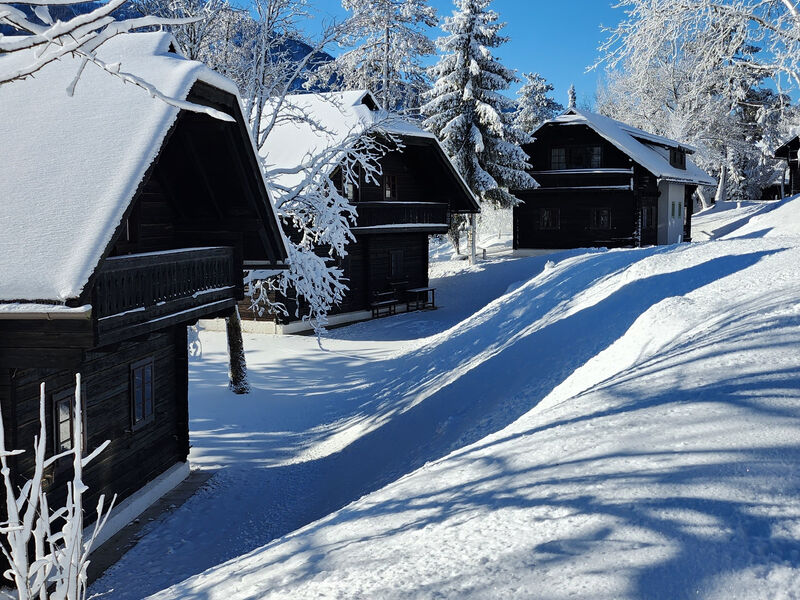 Naturel Hoteldorf Schönleitn