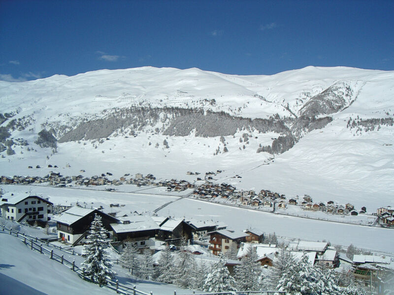 Park Chalet Village