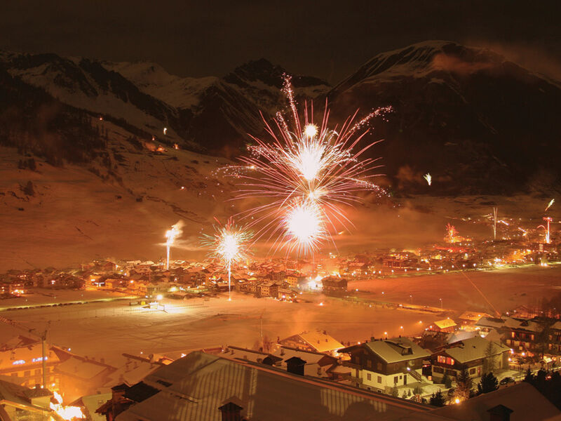 Park Chalet Village