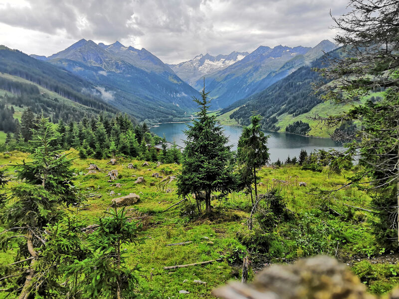 SCOL Zillertal