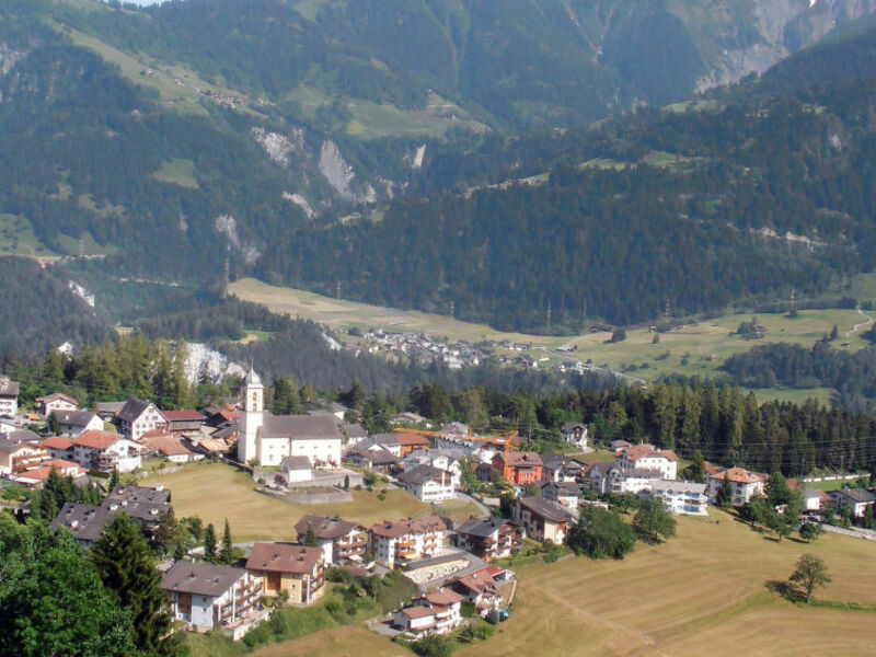 Signina (LAA380)