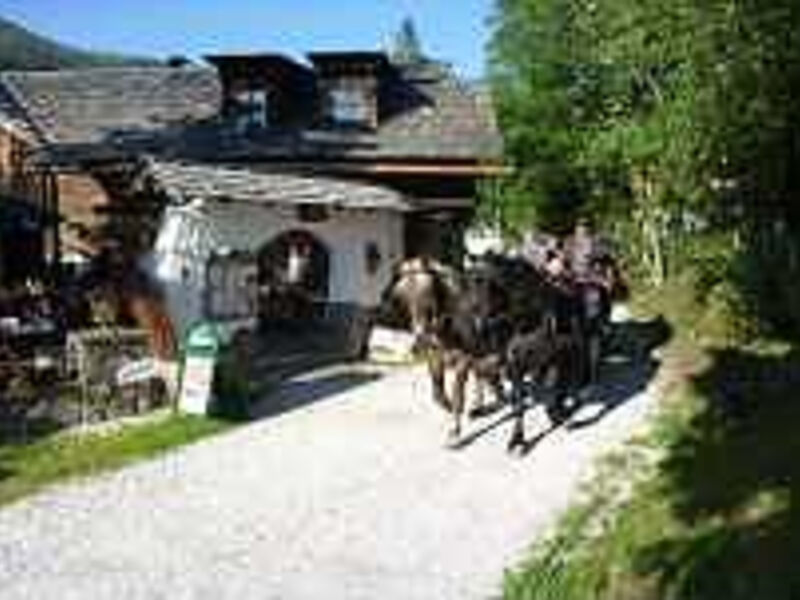 Trattlerhof