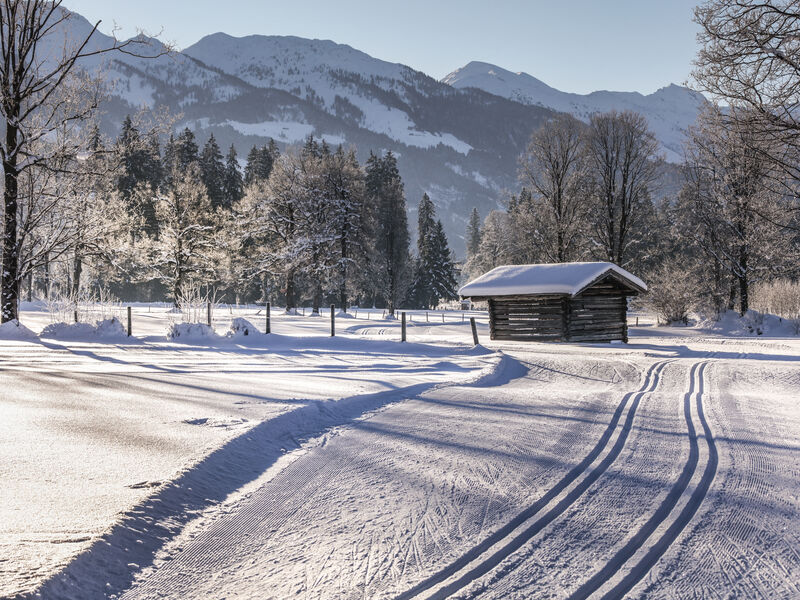 Vital and Sporthotel Brixen