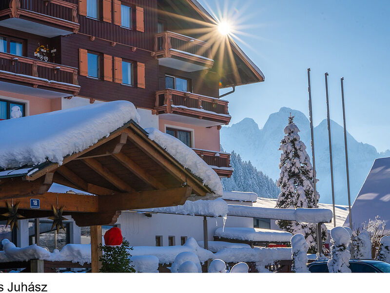 Vitalhotel Gosau s all inclusive