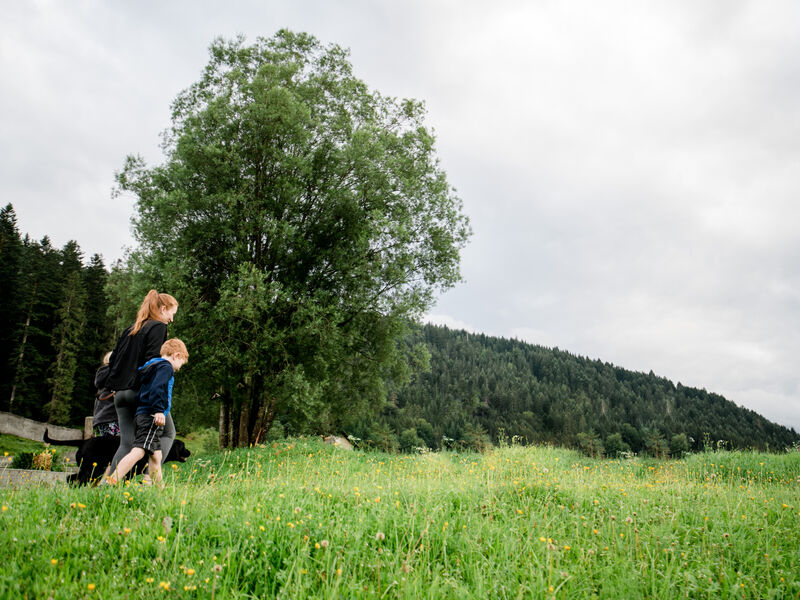 Vitalhotel Gosau