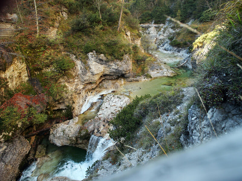Weisser Hirsch