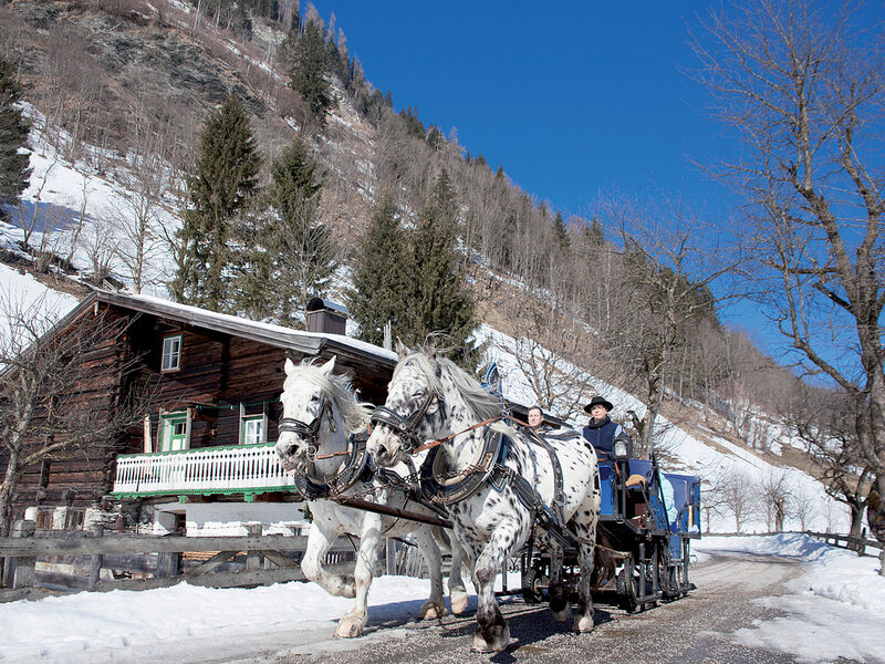 Gasthof Andrelwirt