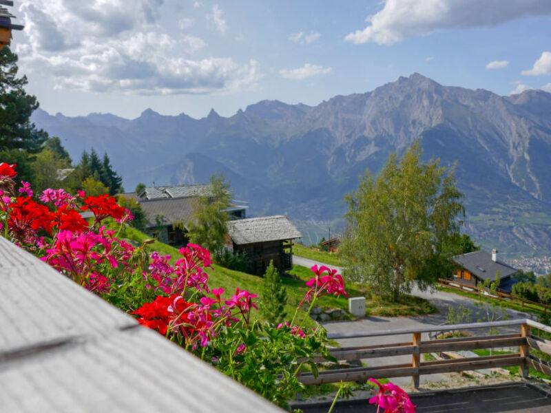 Chalet Flocon de Neige