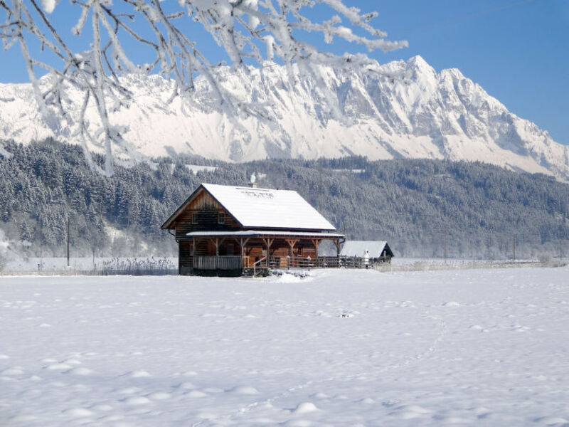 Steiners Blockhütte