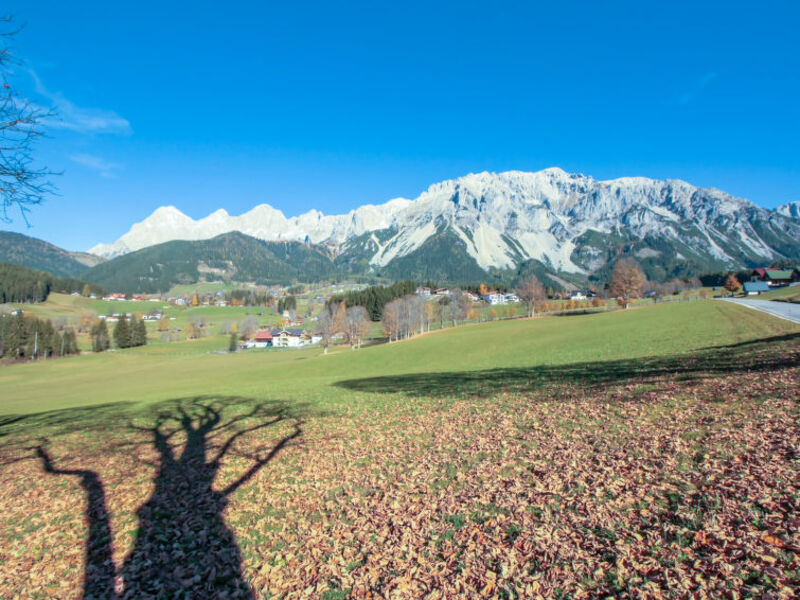 Berghaus Weitblick