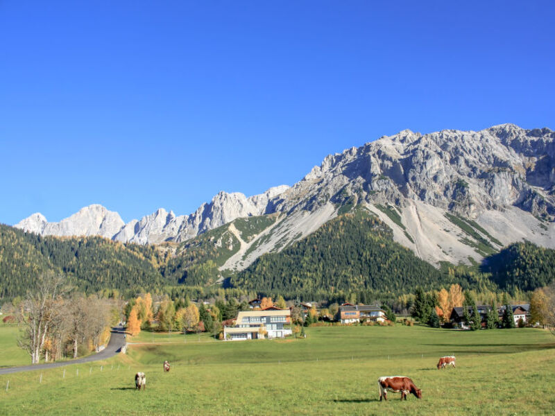 Berghaus Weitblick