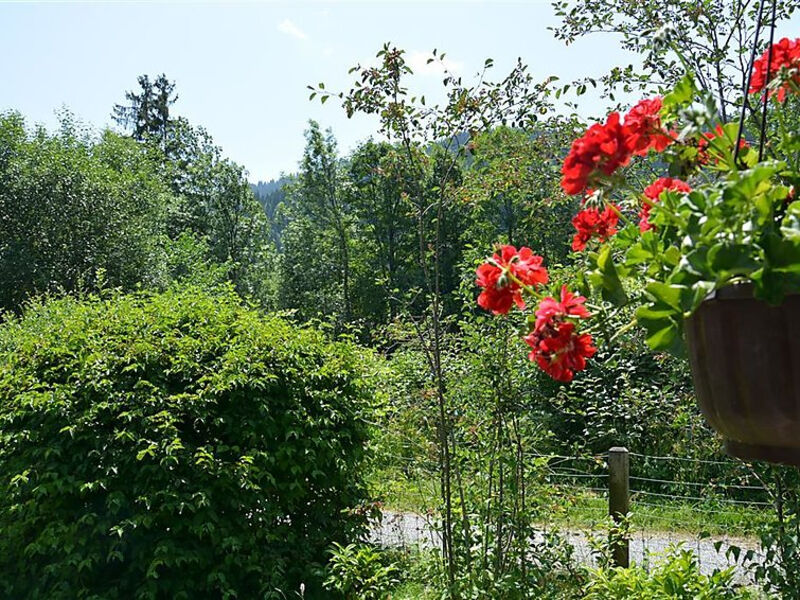 Abnaki, Chalet