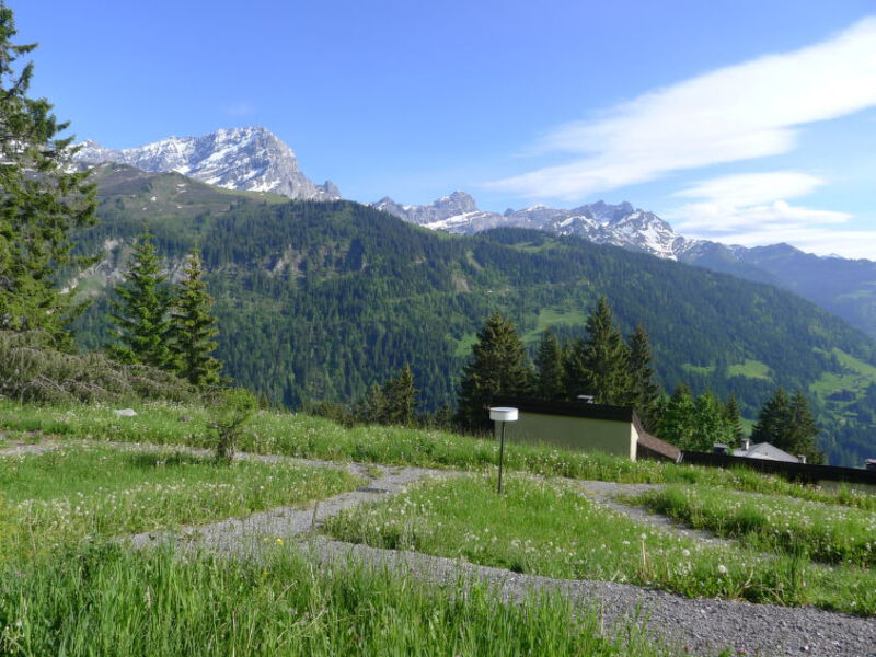 Alpe des Chaux