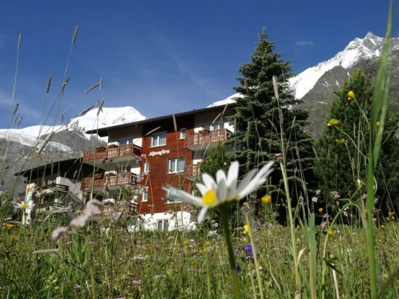 Alpenfirn