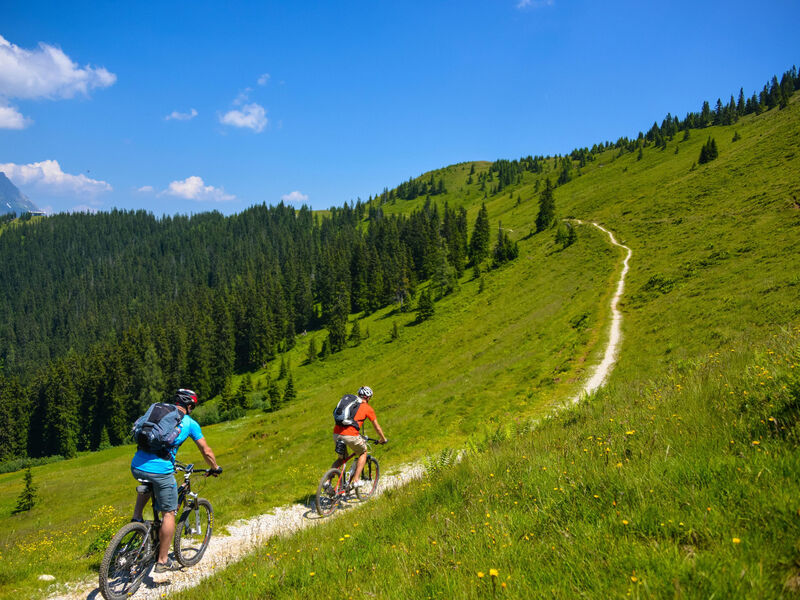 AlpenParks Resort Maria Alm