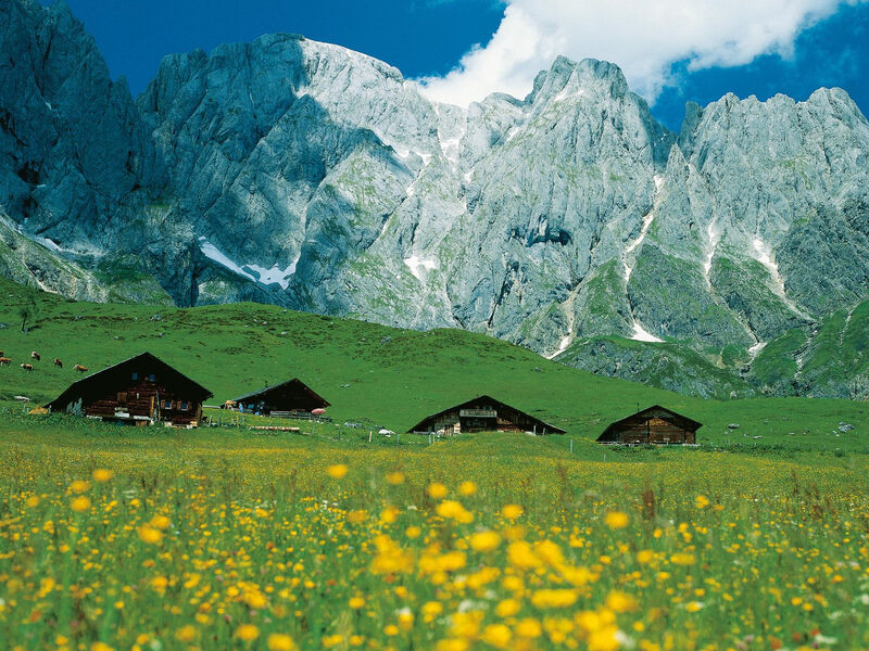 AlpenParks Resort Maria Alm