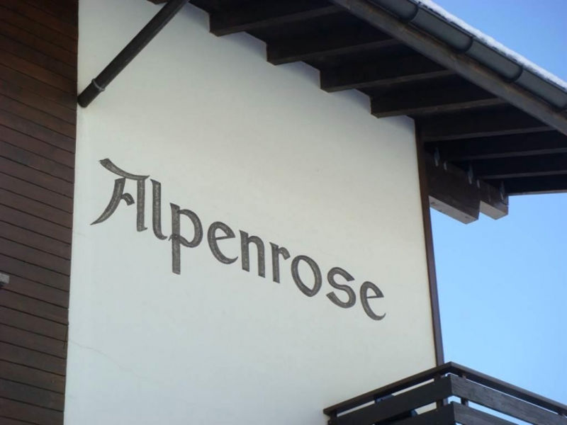 Alpenrose