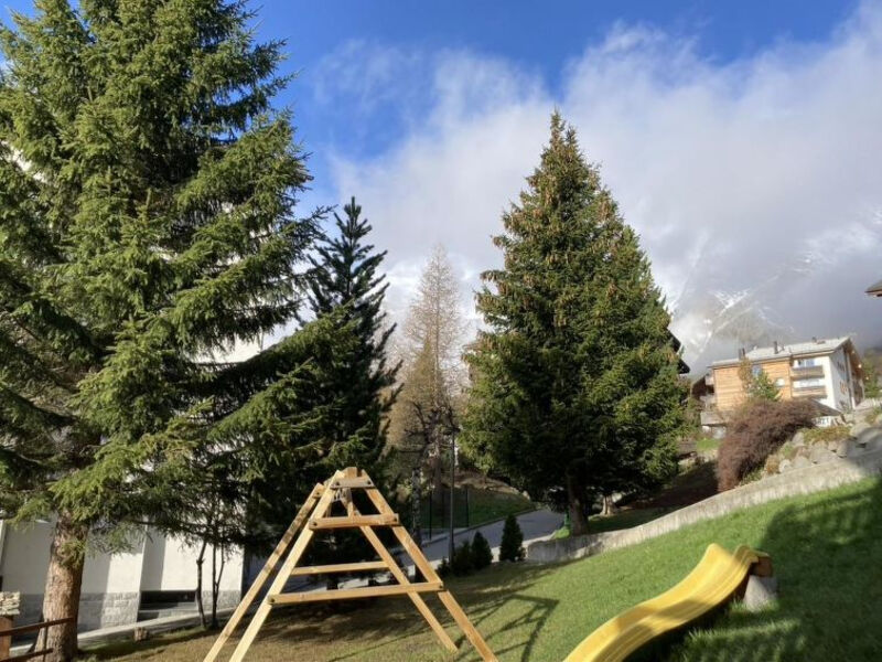 Alpenruh (007102)