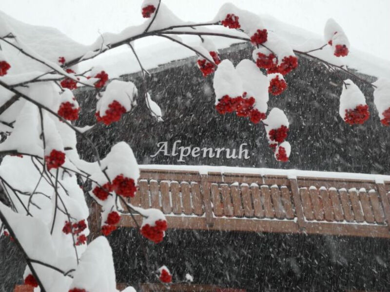 Alpenruh (007102)