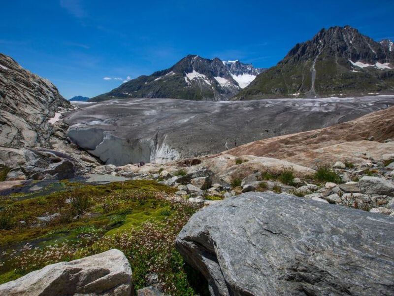 Alphütte Bielerchäller