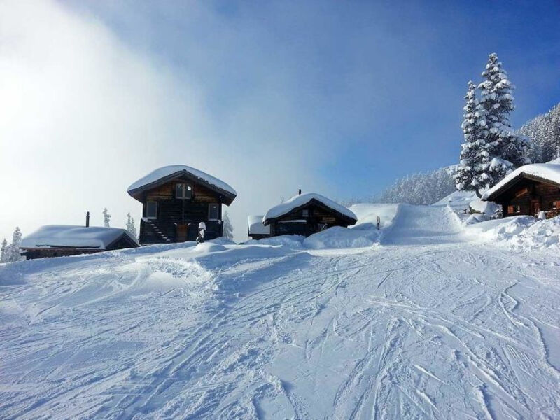 Alphütte Bielerhüs
