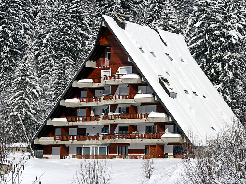 Anémone