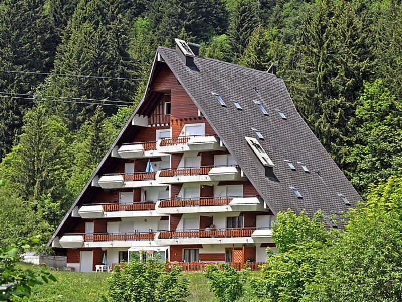 Anémone
