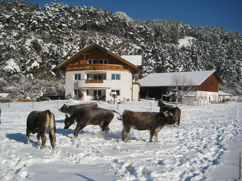 Apartmánový dům Gundolf Arzl se skipasem