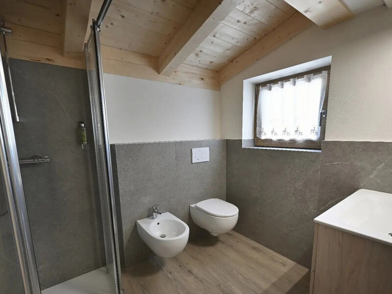 Apartmány Alpinea