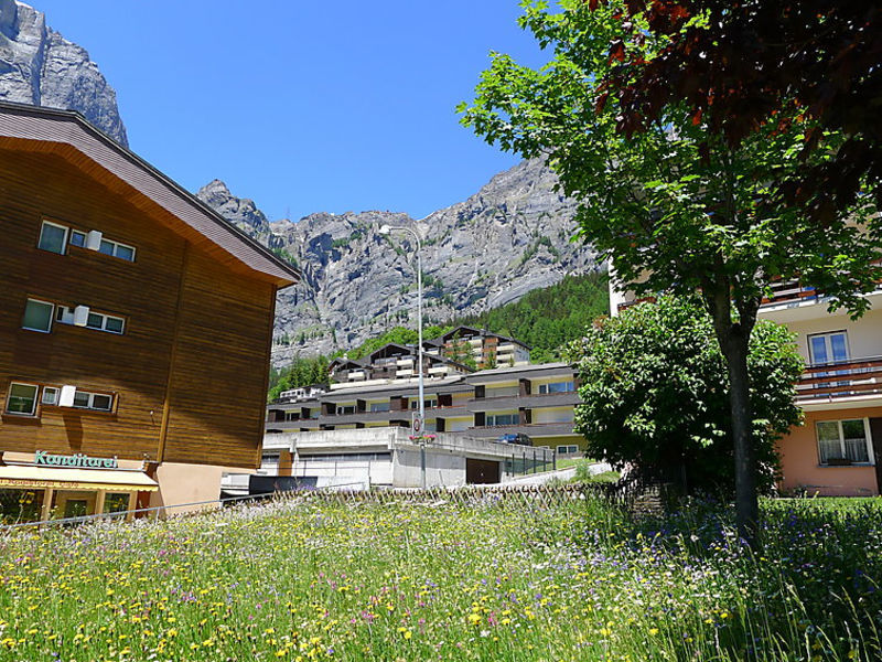 Appartement 24