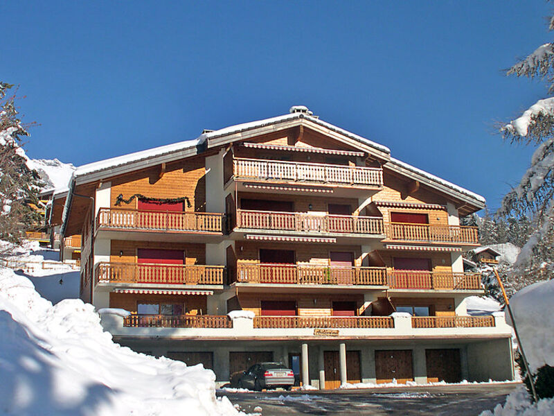 Ardévine 5