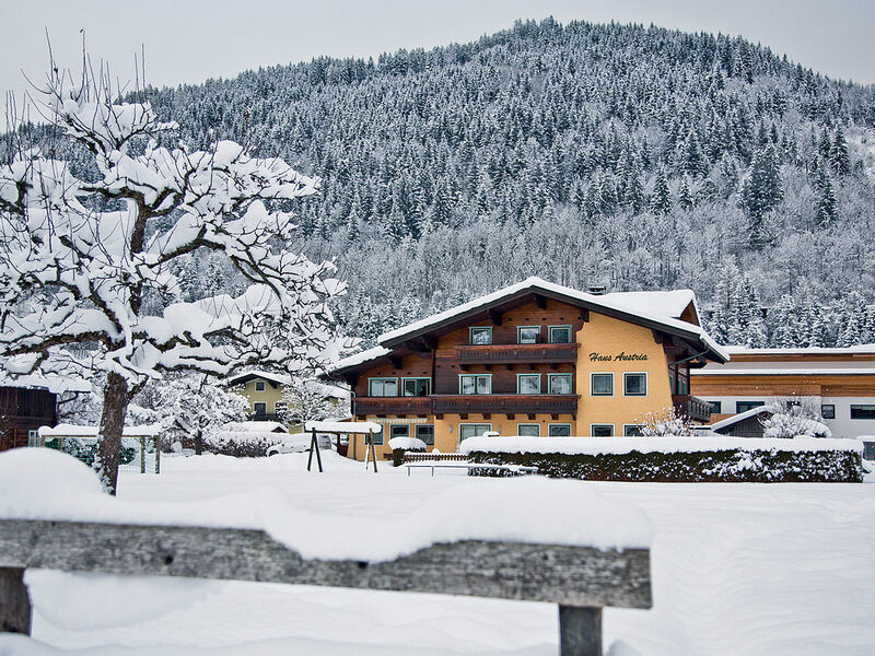 Appartements Haus Austria