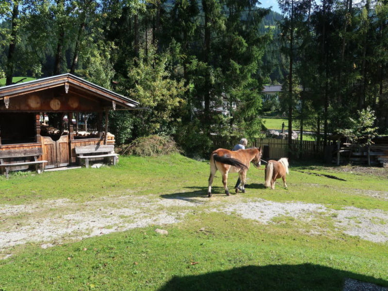 Bauernhaus Huberhof (WIL105)