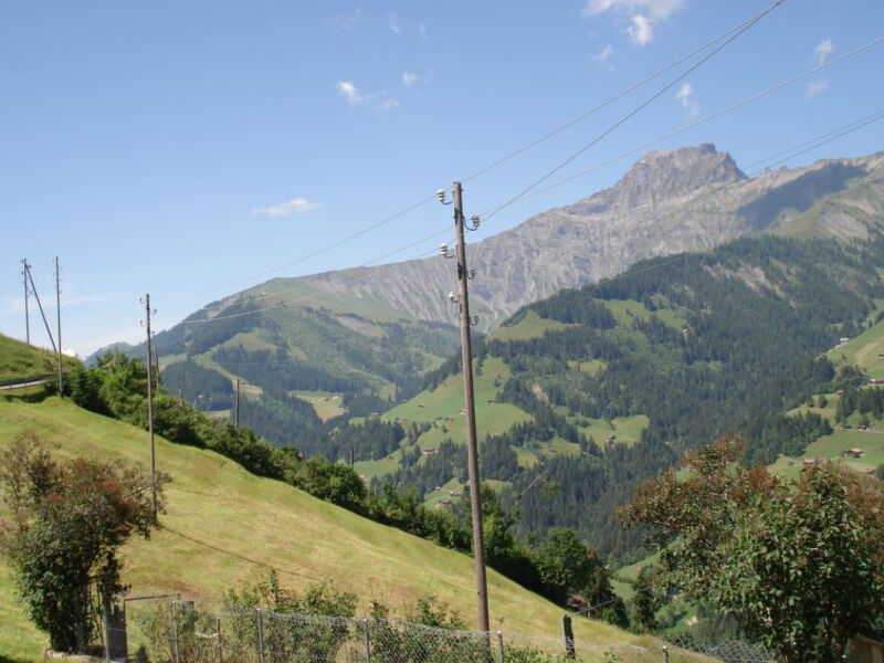 Bauernhaus Uf dr Flue