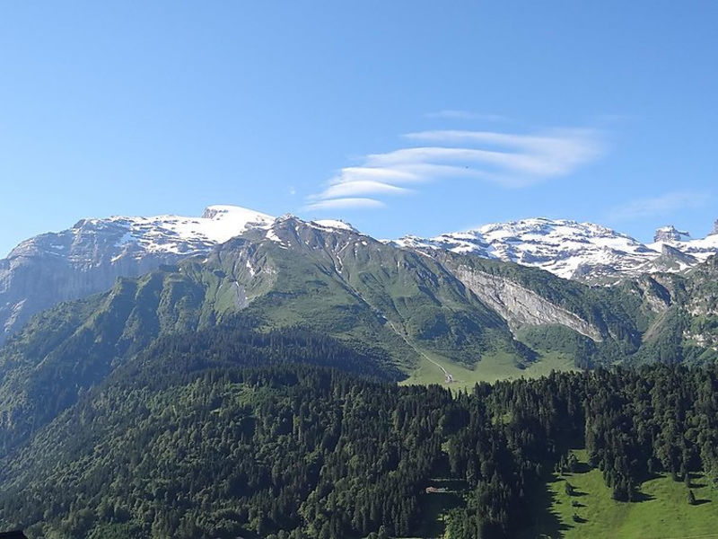 Bergmatte