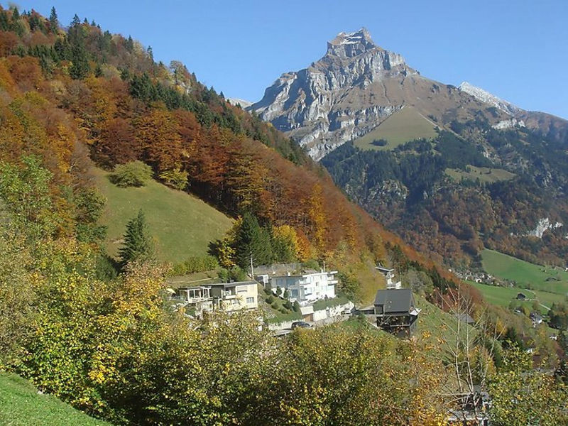Bergmatte