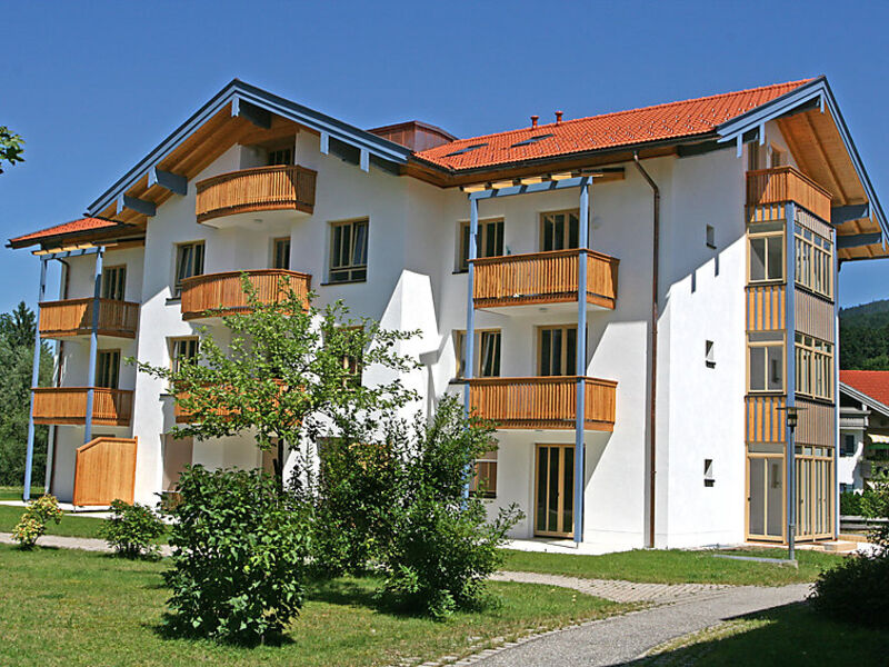 Bibelöd