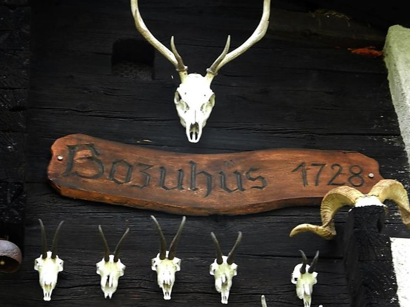 Bozuhüs