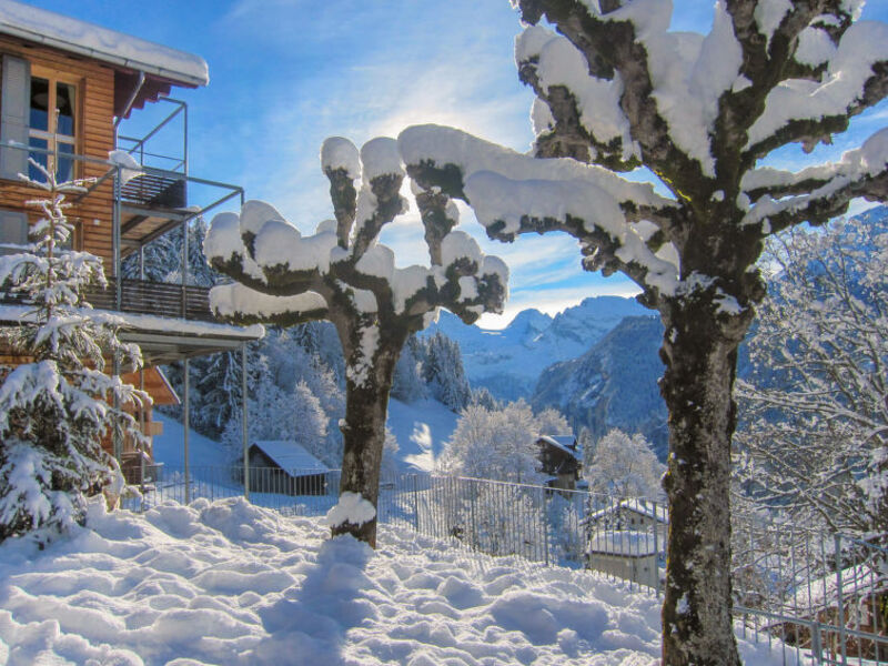 Breithorn-Residence