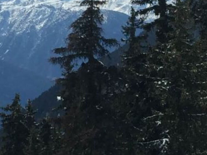 Brunnen 2. Stock Ost