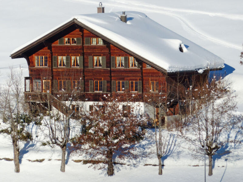 Chalet Ahorni