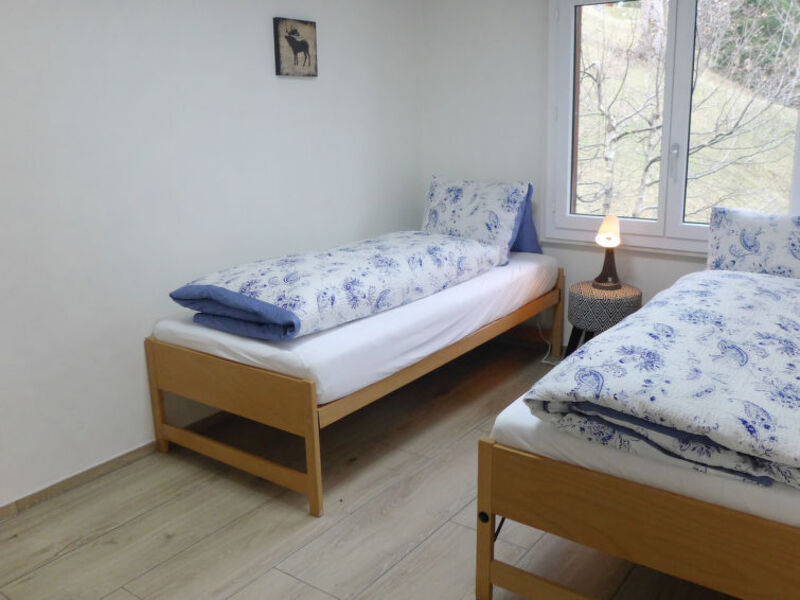 Chalet Bodmihus