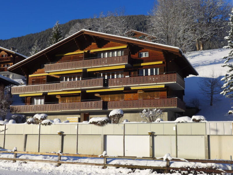 Chalet Bodmihus