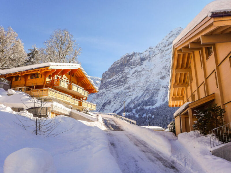 Chalet Butz