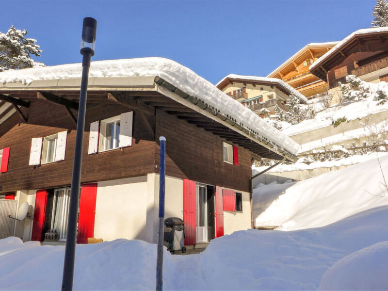 Chalet Butz