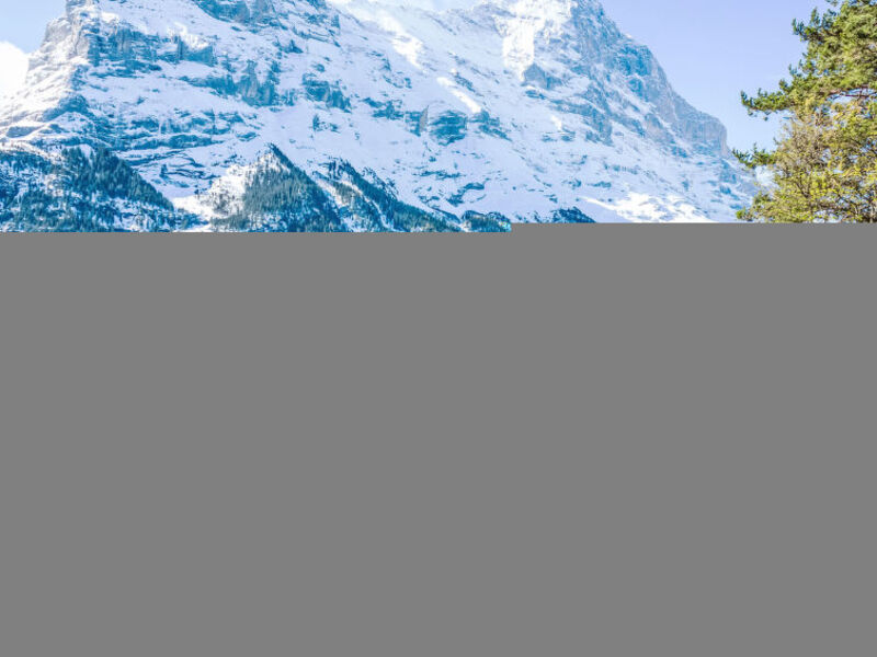 Chalet Colette