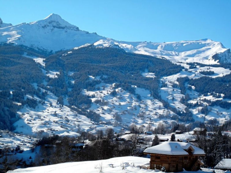 Chalet Desiree (GRW140)