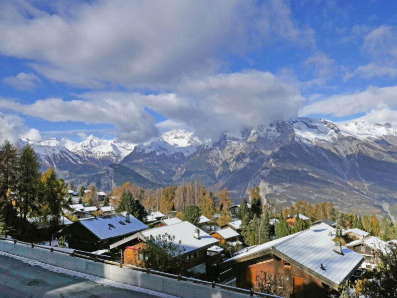 Chalet Dominique