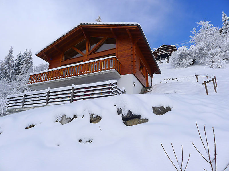 Chalet Double Rouge