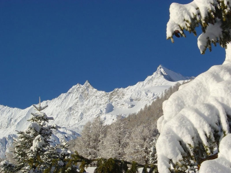 Chalet Flair (149E13)